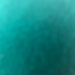 Meet your Posher, Whitney